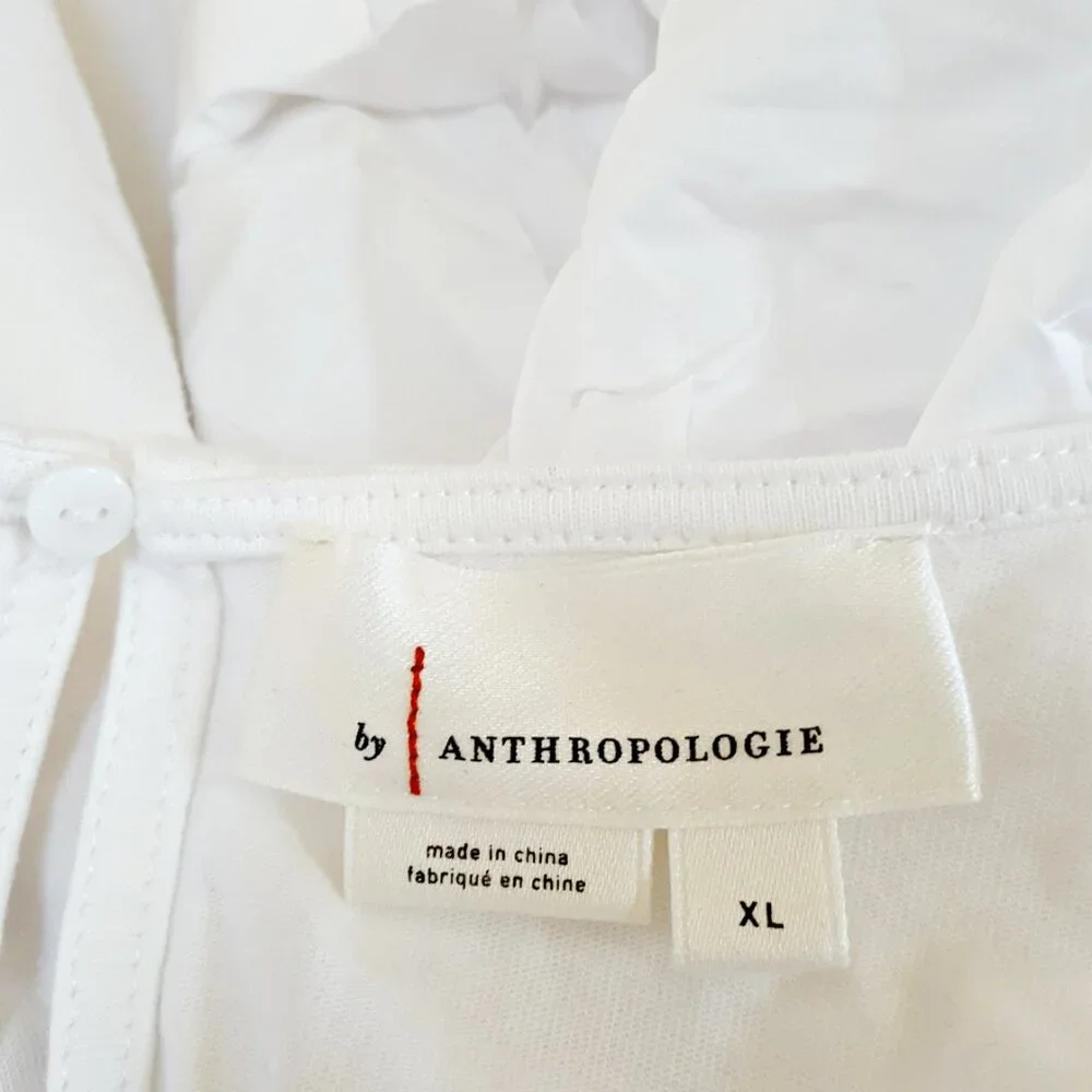 Anthropologie's PUFFY FRONT Puff SLEEVE BLOUSE
